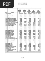 2010 Budget Summary