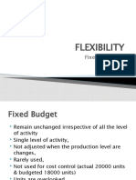 Flexibility Budgets