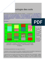 Typologie Sols.html