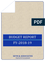 Budget Report FY-2018-19: Seth & Associates