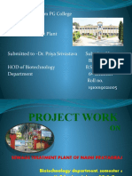 Sewage Treatment Plant (Project)