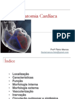 Anatomia Cardíaca