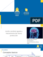 Lesión cerebral aguda y mecanismos de neuroprotección