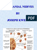 The Cranial Nerves BY Joseph Kweri
