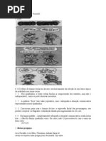 Material 1 Coesi Gabaritado