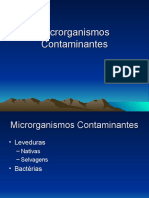 Microrganismos Contaminantes