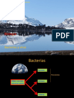 Clase 10 Bacterias y Virus-1