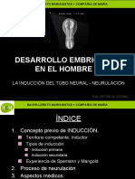 Desarrollo Embrionario Humano 3 Mcm