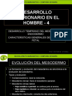 Desarrollo Embrionario Humano 4 Mcm