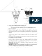 Activity Ii - Shuttlecock & Officials