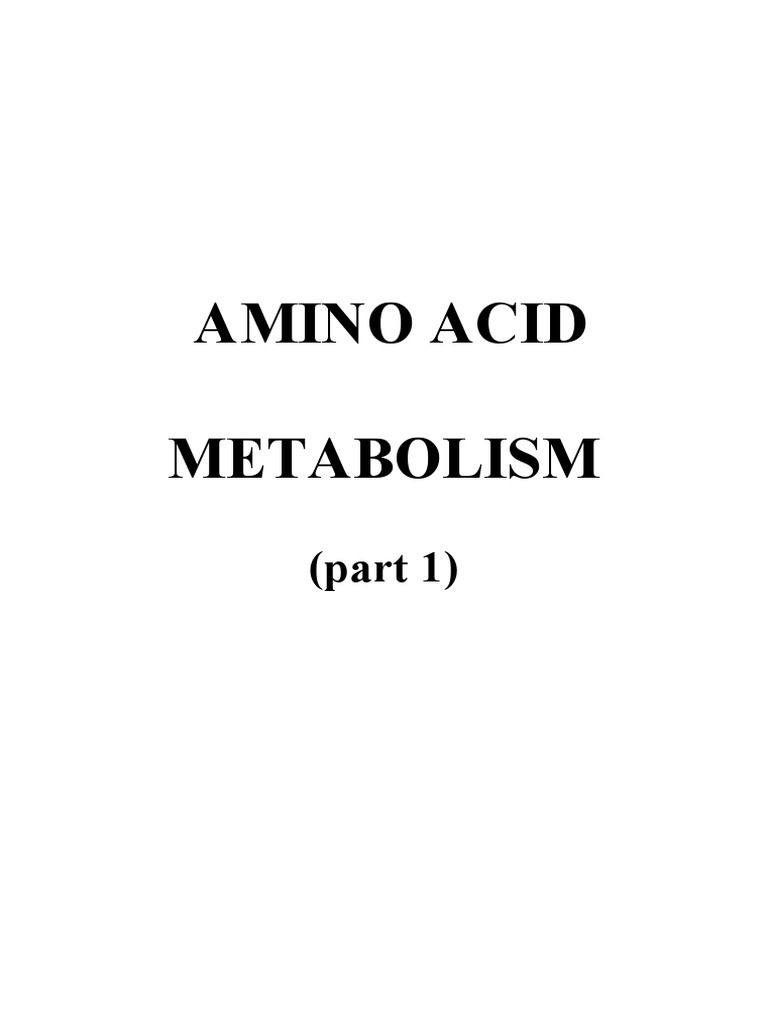Overview of Amino Acid Metabolism | PDF | Biosynthesis | Amino Acid