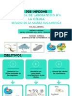 Pre-Informe Práctica de Laboratorio N°4 La Célula (Estudio de La Célula Eucariotica)