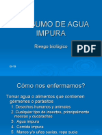 Presentacion GI19 Consumo de Agua Impura V.0