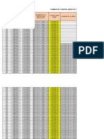 Formato Bienes de Consumo