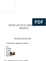 1.intellectual Property Rights