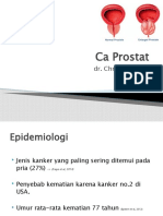 Ca Prostat