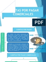 CUENTAS POR PAGAR COMERCIALES (2)