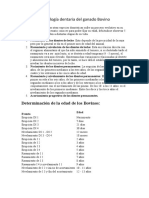 Cronología Dentaria Del Ganado Bovino