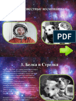 Космонавты (География)