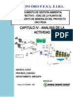 CAPITULO IV - ANALISIS DE LA ACTIVIDAD Final
