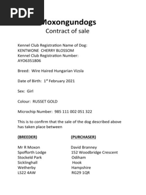 puppy contract