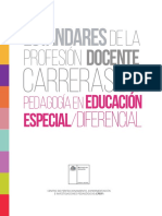 Educacion Especial 1