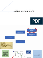 Oxiuriasis y Ascariasis