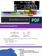 Estrutura Celular