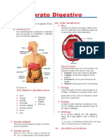 Aparato Digestivo: I. Definición Iii. Tubo Digestivo