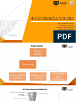 Insuficiencia Venosa Slide