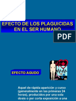 Efectos en El Ser Humano