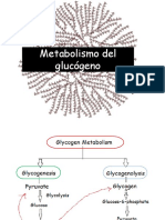 BIO003-Bioq-clase 17-Sintesis-Degradacion_Glucogeno_SMN_29052021