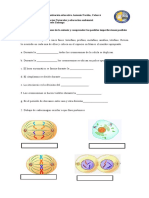 Taller de Mitosis