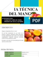 Ficha Técnica Del Mango