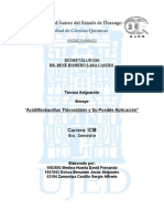 Biometalurgia-Acidithiobacillus Thiooxidans