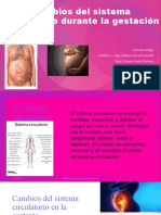 Cambios Del Sistema Circulatorio Durante La Gestación