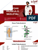 Anatomi Muskuloskeletal