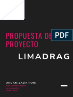 Propuesta de Proyecto LimaDrag