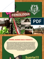 Fenologia Agosto 2021