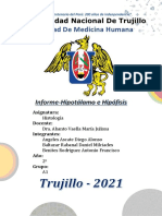 Informe Histología Semana 15: Hipotálamo e Hipófisis