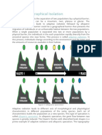 What Is Geographical Isolation: Adaptive Radiation