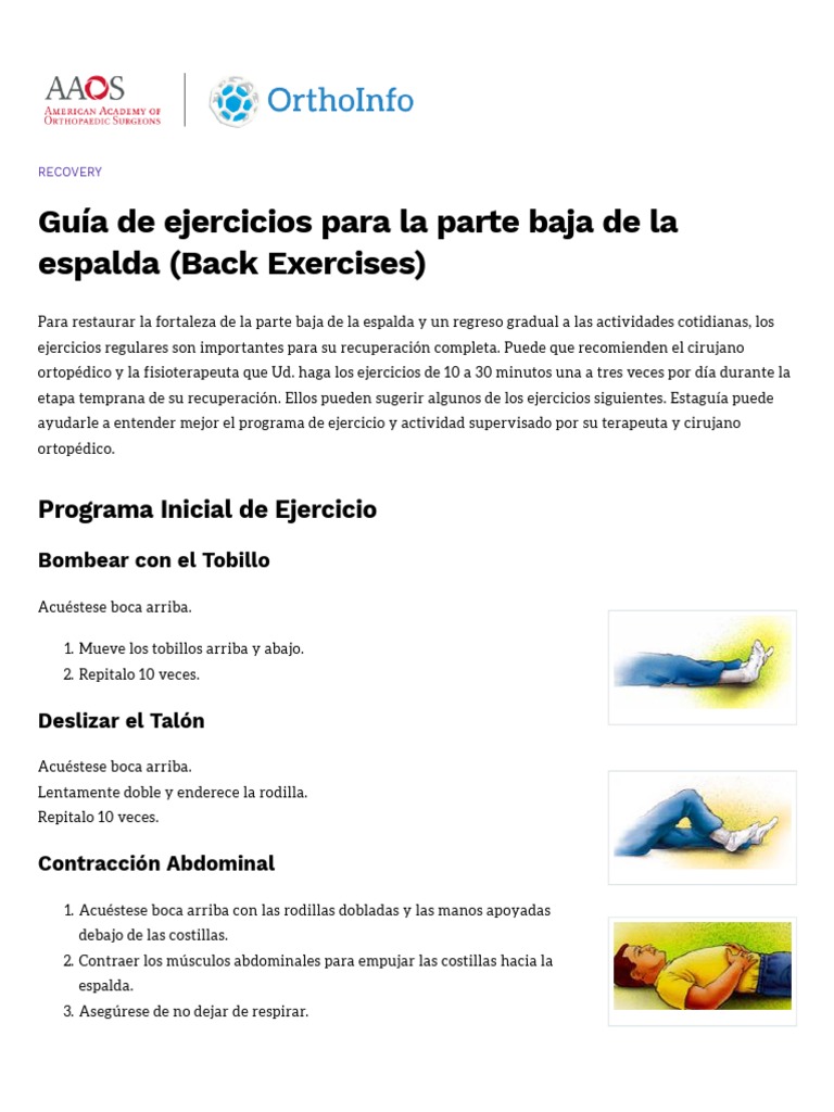 Guía de Ejercicios para La Parte Baja de La Espalda (Back Exercises