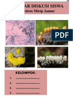 Lembar Diskusi Siswa Lembar Diskusi Siswa: Protista Mirip Jamur Protista Mirip Jamur