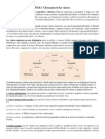 Tema 7. Jerarquia de Valores