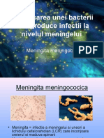 Identificarea unei bacterii