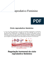 Ciclo Reprodutivo Feminino em 4 Fases