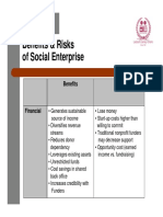 Benefits and Risks of Social Enterprise