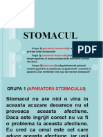 Stomacul (proiect-grupe)