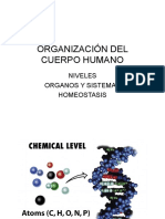 Organización Del Cuerpo Humano, Células y Tejidos