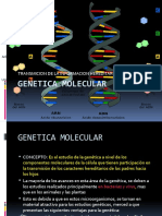 Tema 4 GENETICA MOLECULAR